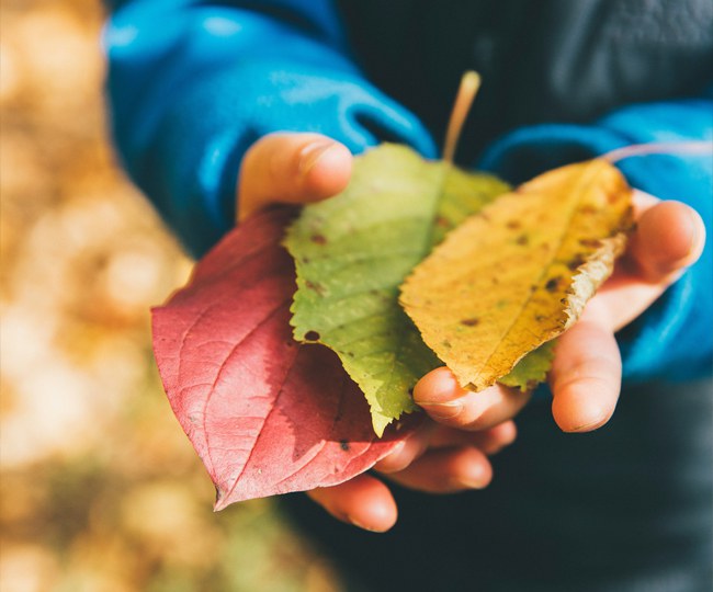 Guarderías Municipales - Curso 2025/2026